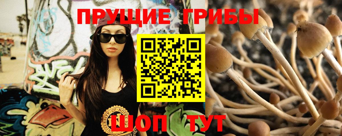 Ступино  Галлюциногенные грибы Psilocybe  Вход с VPN 