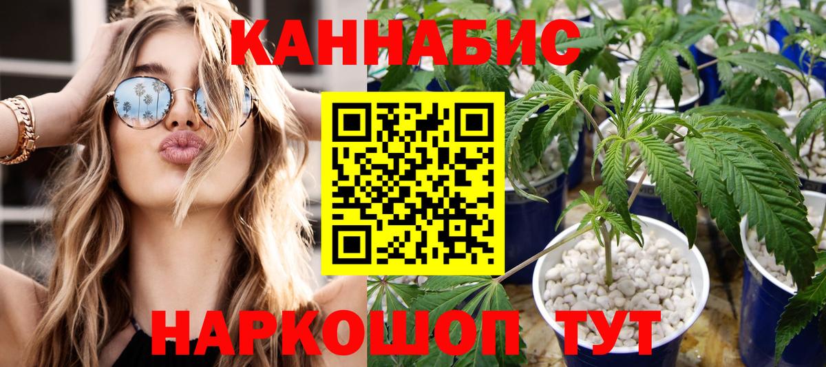 Марихуана семена  Канабис Bruce Banner  Каннабис MAZAR  Ступино  Вход с VPN 